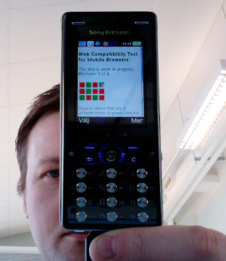 Screenshot of native browser on Sony Ericsson K810i