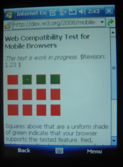 Windows Mobile 6 device using IEMobile 7.6